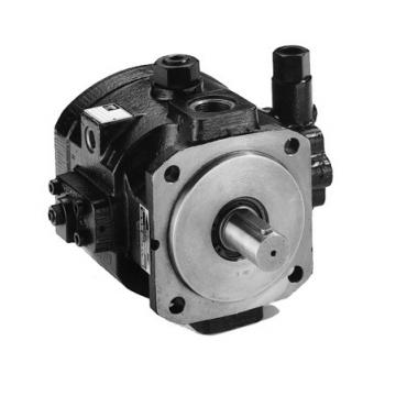 Replacement Hydraulic Motor Parts for V12-60, V12-80, V14-110, V14-160